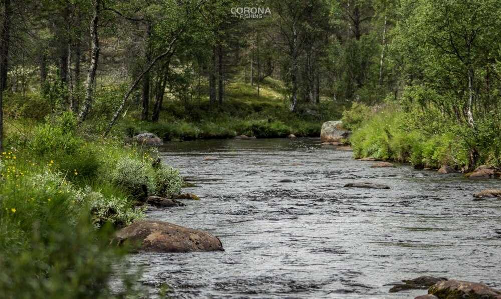 wędkarstwo skandynawia